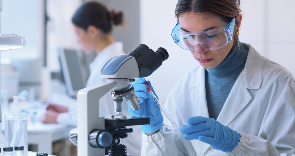 STEM Careers: Top Career Paths, Jobs, & More