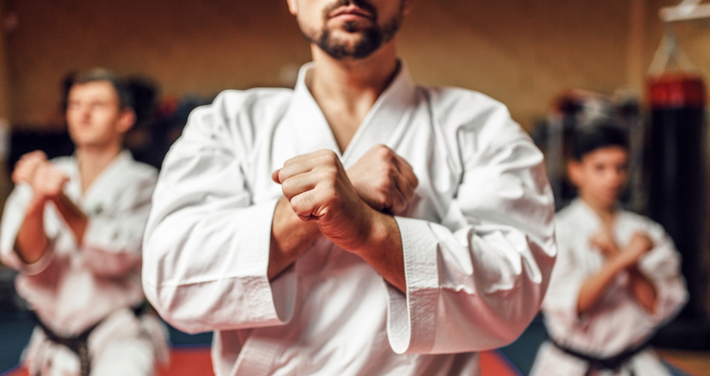 Everybody Was Kung Fu Fighting