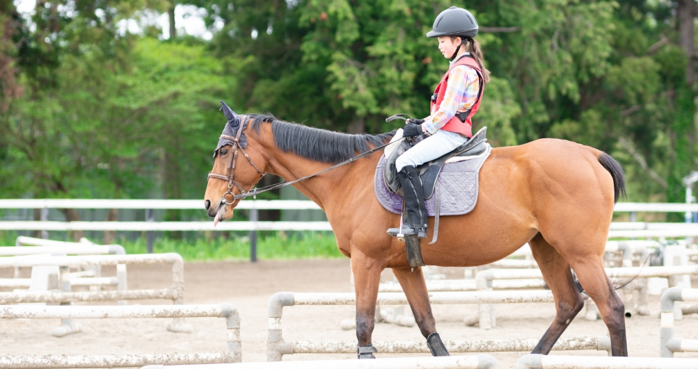 Know Any Horse Girls?