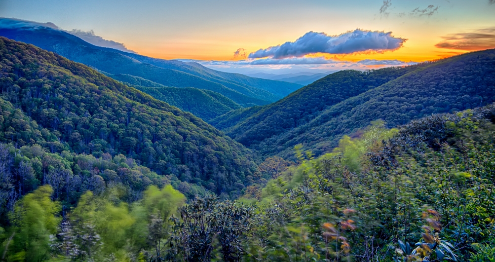 Mountaineers Welcome!
